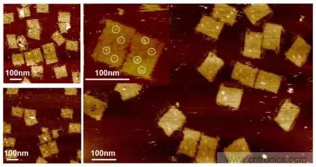 中美科學(xué)家聯(lián)手，用DNA納米機器人殺死癌細胞
