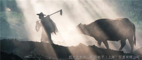 智慧農(nóng)業(yè)大有可為，“數(shù)字種地”更輕松